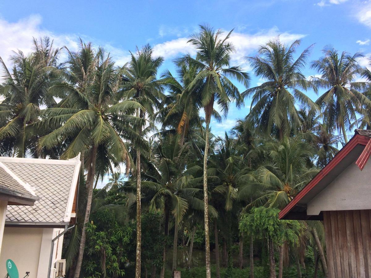 Soutikone Place House 2 Luang Prabang Dış mekan fotoğraf